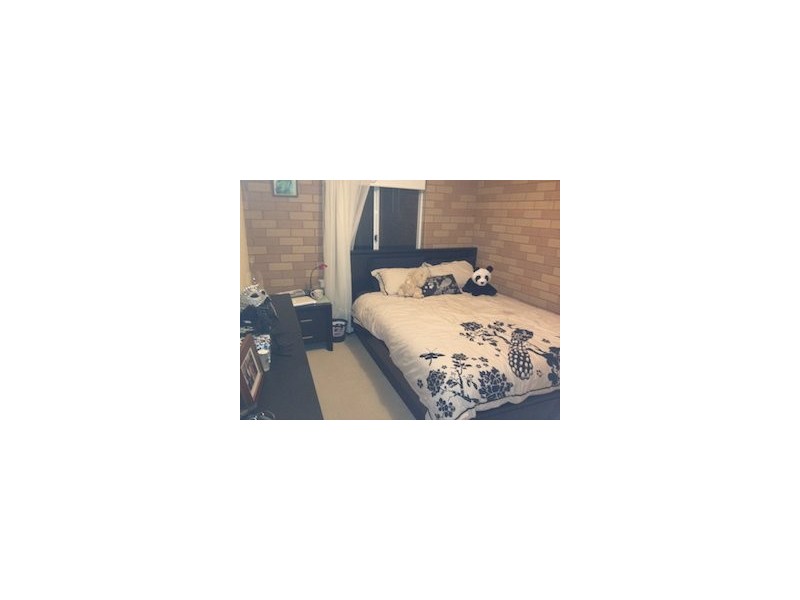Doman Street, Wagga Wagga NSW 2650