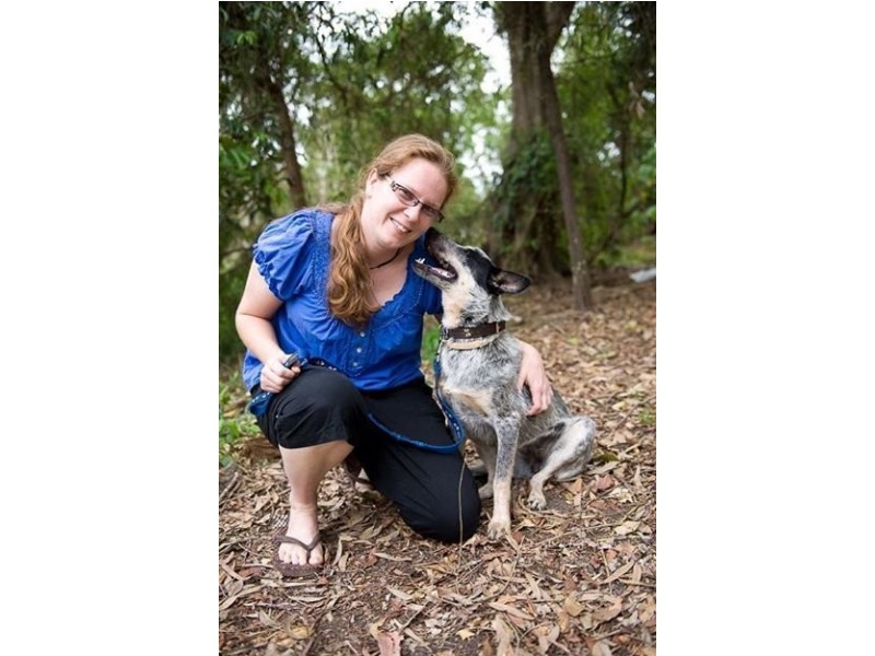 Cinderella Drive, Springwood QLD 4127