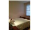 Elizabeth Street, Paddington NSW 2021