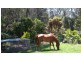 Carapook Crescent, Tallebudgera QLD 4228