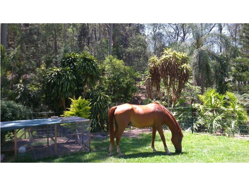 Carapook Crescent, Tallebudgera QLD 4228