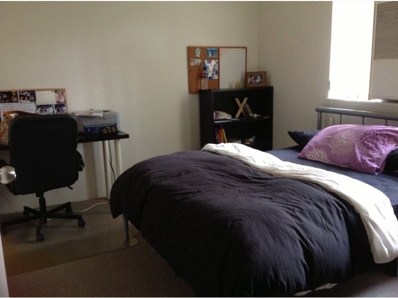 sir fred schonell drive, St Lucia QLD 4067