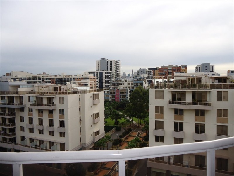 Potter Street, Waterloo NSW 2017