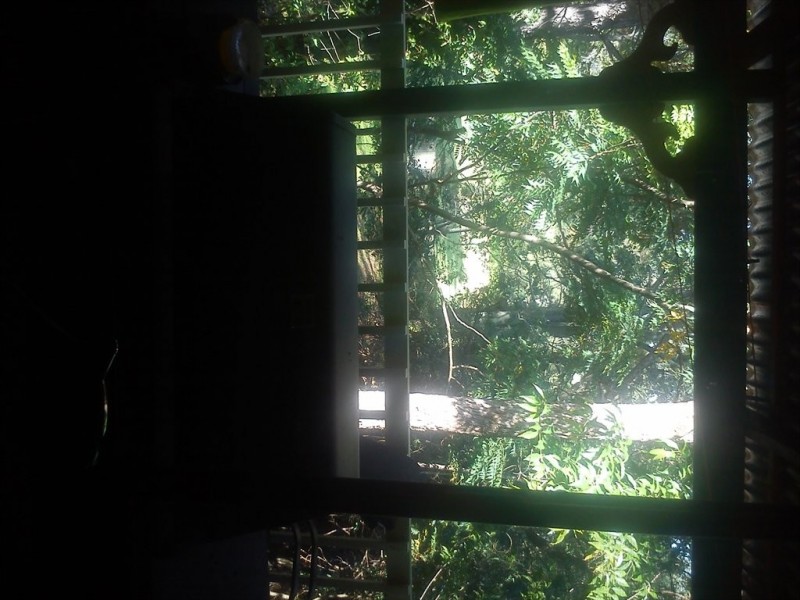 Merloo, Nerang QLD 4211