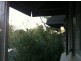 Murphy Street, South Yarra VIC 3141