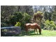 Carapook Crescent, Tallebudgera QLD 4228