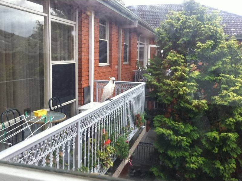 Baxter Ave, Kogarah NSW 2217