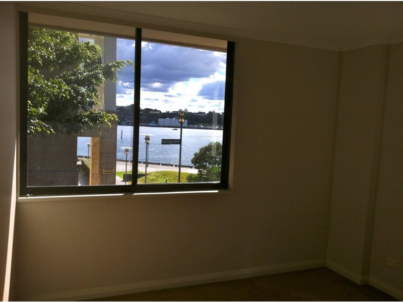 Refinery Drive, Pyrmont NSW 2009