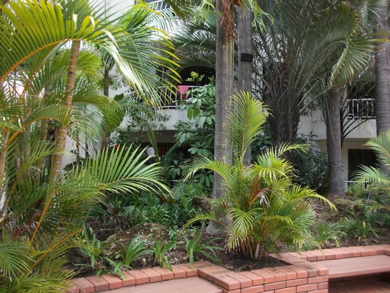 Orchid Avenue, Surfers Paradise QLD 4217