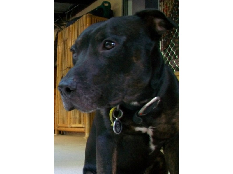 Old McMillans Rd, Millner NT 0810