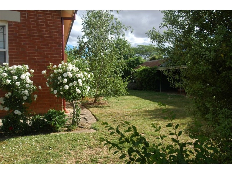 Darlow Street, Wagga Wagga NSW 2650