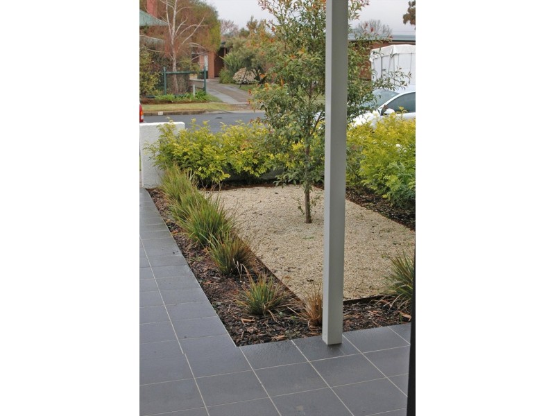 Darlow Street, Wagga Wagga NSW 2650