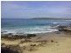 Boyce Road, Maroubra NSW 2035