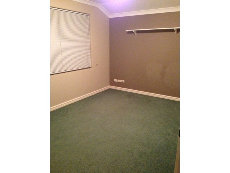 ollera meander, Carramar WA 6031