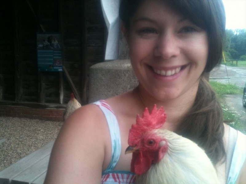 Beach Road, Bondi Beach NSW 2026