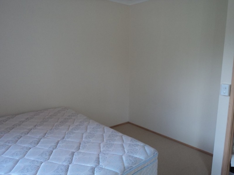 Jingellic Drive, Buderim QLD 4556