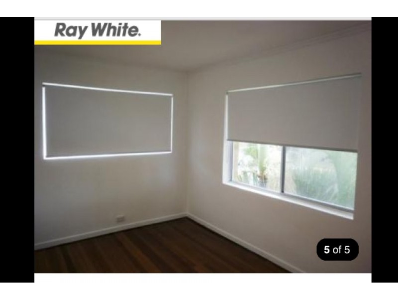 peerless avenue, Mermaid Beach QLD 4218