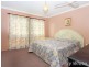 Patwill, Boondall QLD 4034