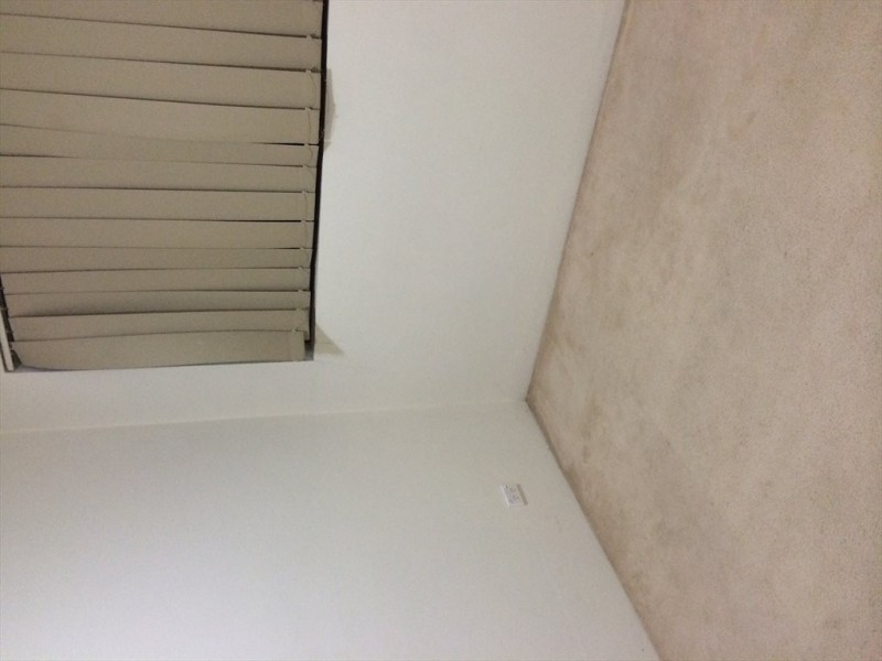 courallie avenue, Homebush West NSW 2140