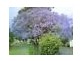 hunter, Aberglasslyn NSW 2320