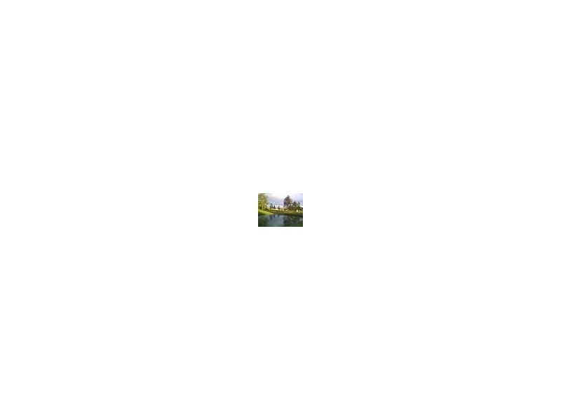 hunter, Aberglasslyn NSW 2320