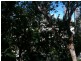 Crown, Darlinghurst NSW 2010