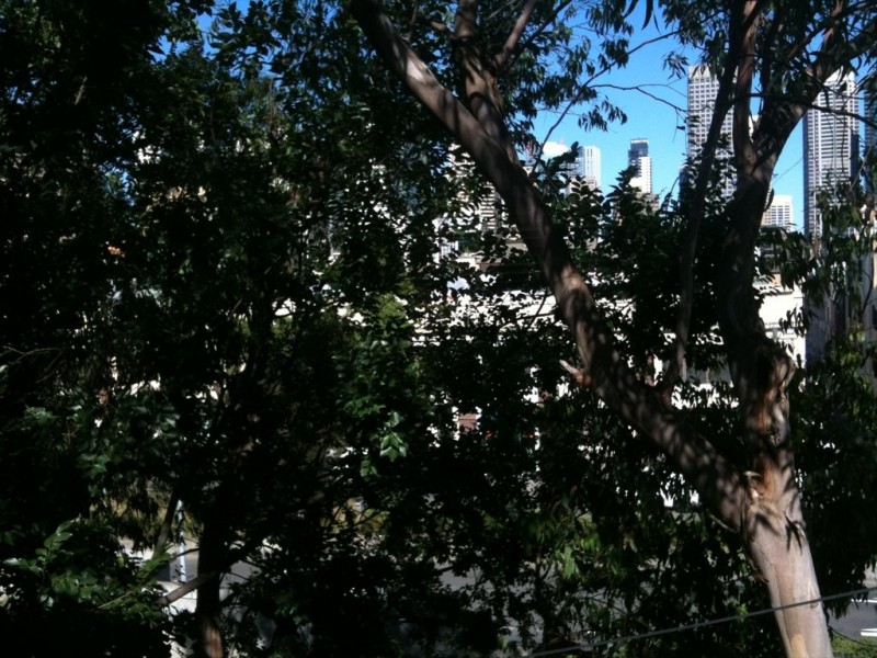 Crown, Darlinghurst NSW 2010