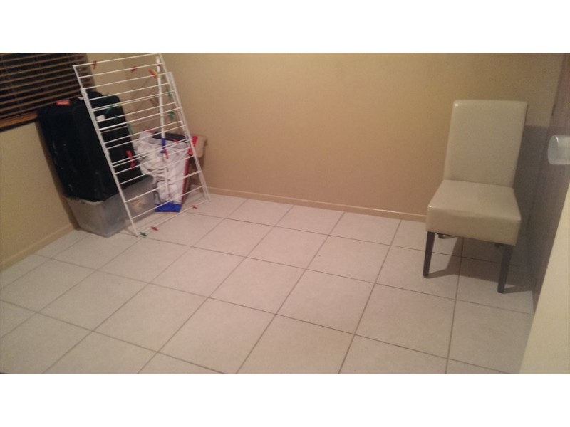 Petrel Avenue, Mermaid Beach QLD 4218