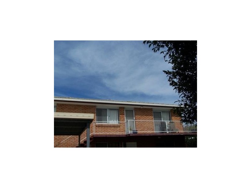 Iluka Avenue, Buddina QLD 4575