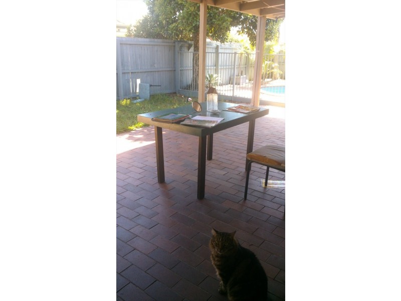 Leonardo circuit, Coombabah QLD 4216