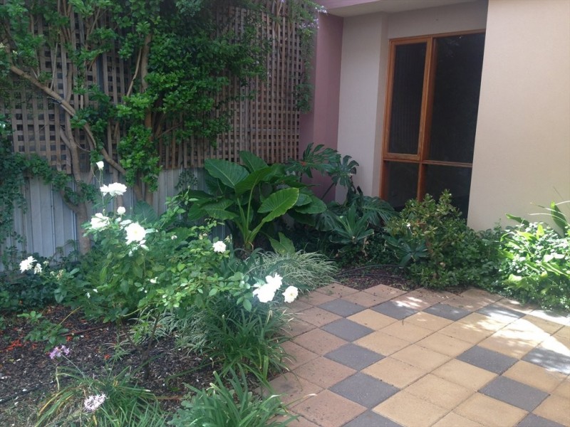 Edmund Avenue, Unley SA 5061