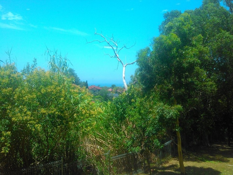 St Marks Road, Randwick NSW 2031