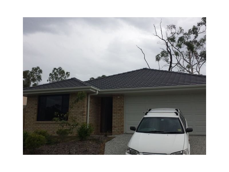 crocodile ave, Morayfield QLD 4506