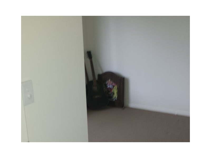 crocodile ave, Morayfield QLD 4506