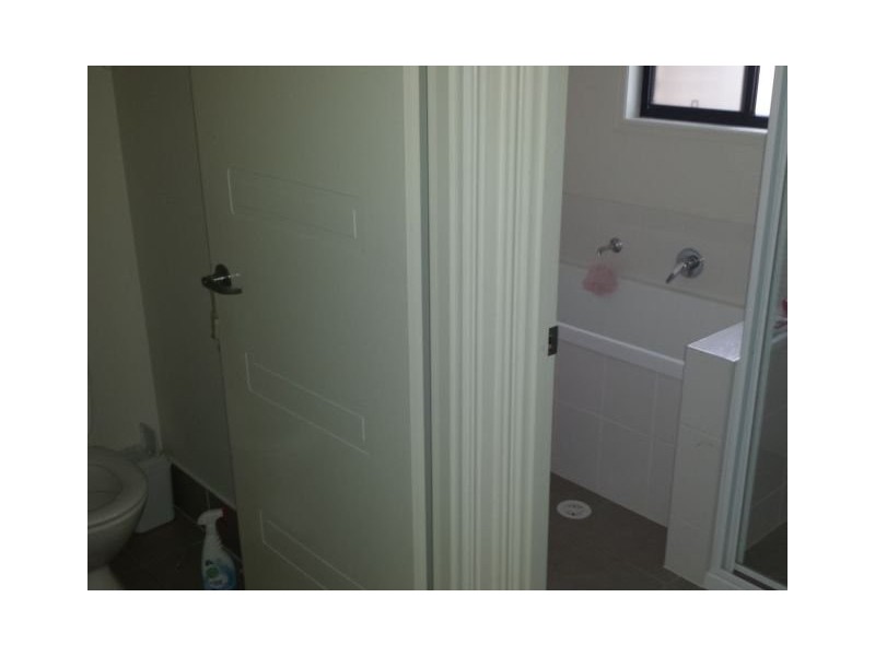 crocodile ave, Morayfield QLD 4506