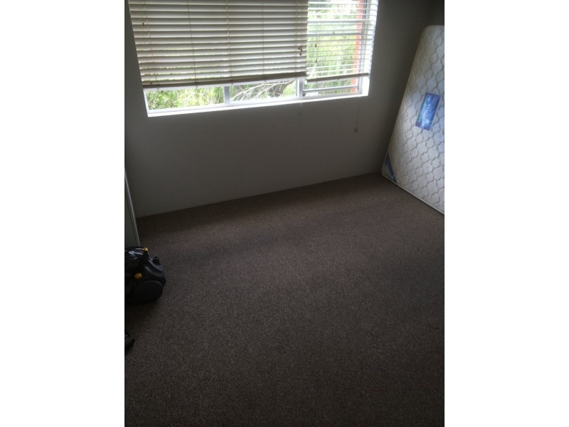 mount st, Coogee NSW 2034