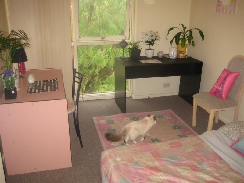 Kooyong, Armadale VIC 3143