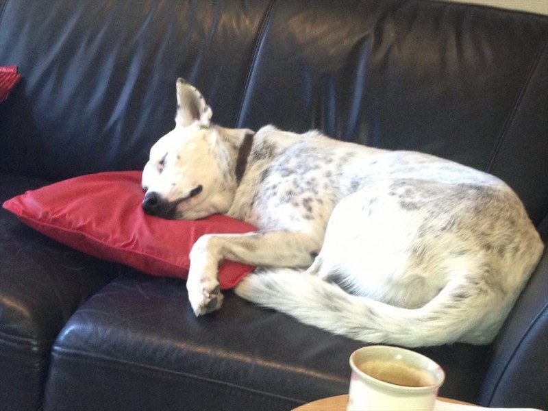 Canning highway, South Perth WA 6151