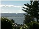 Mount Warrigal NSW 2528