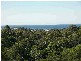 Blackbutt NSW 2529