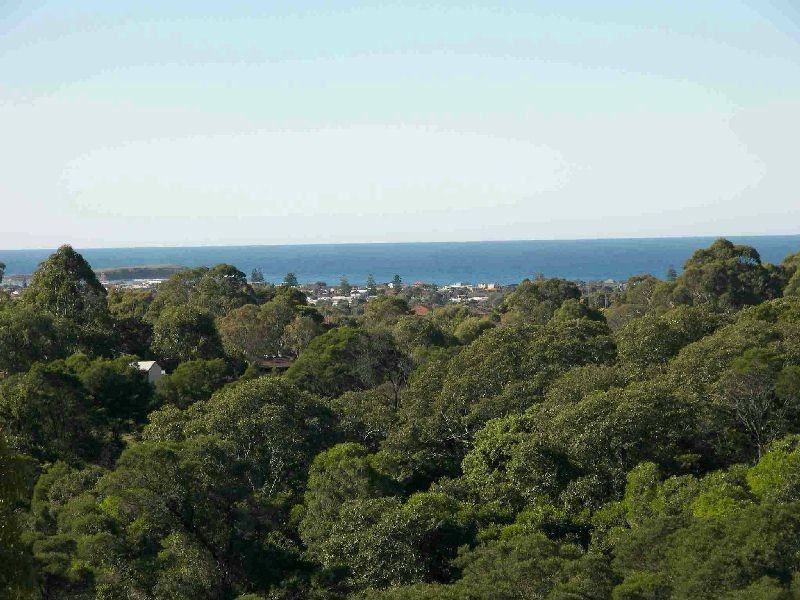 Blackbutt NSW 2529