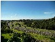 Blackbutt NSW 2529