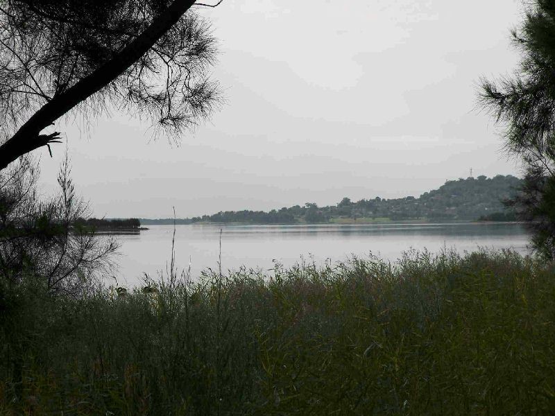 Albion Park Rail NSW 2527