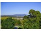 Blackbutt NSW 2529