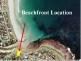 Barrack Point NSW 2528