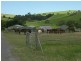 Jamberoo NSW 2533