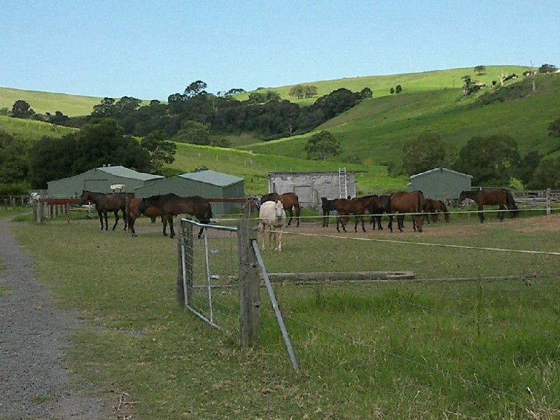 Jamberoo NSW 2533