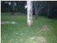 Albion Park NSW 2527