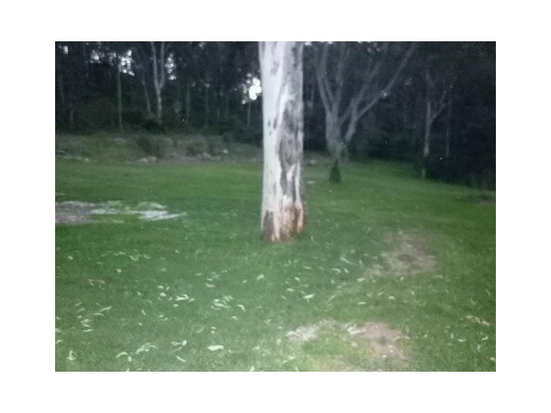 Albion Park NSW 2527