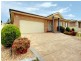 Shell Cove NSW 2529